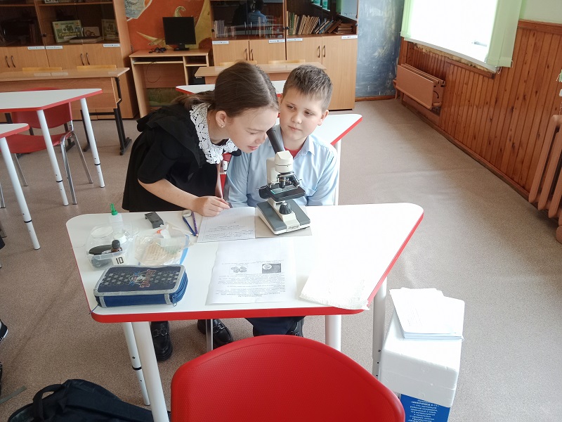 Семинар - практикум «Использование цифрового микроскопа на уроках биологии.